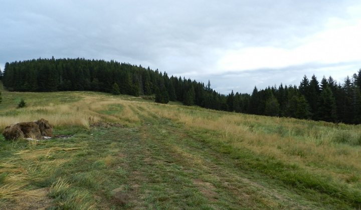 Zobraziť fotografiu